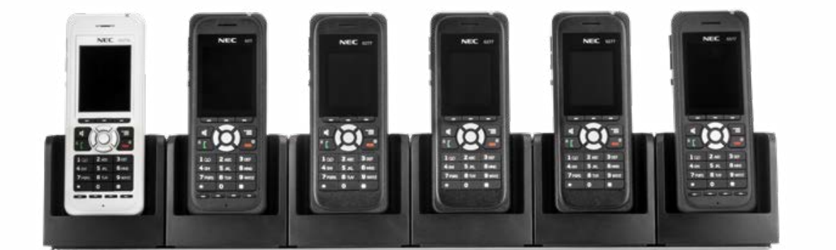 DECT Pic 1